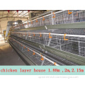 automatic chicken layer cage/chicken egg poultry farm equipment/small chicken